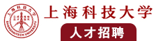 口述外人日逼视频